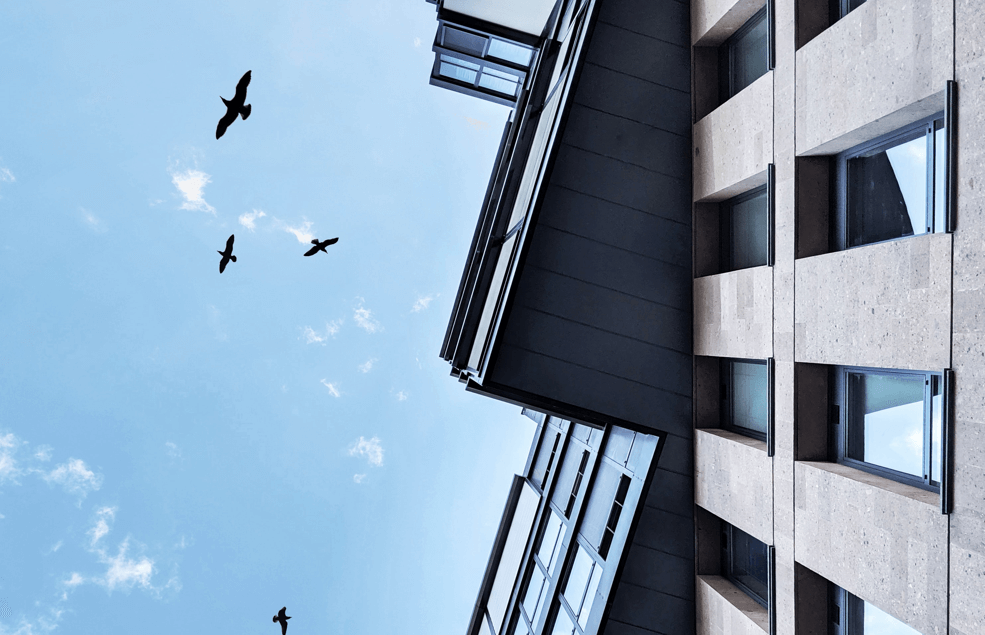 A Bird’s Point Of View: Explore the luxury rooftops of New York ...